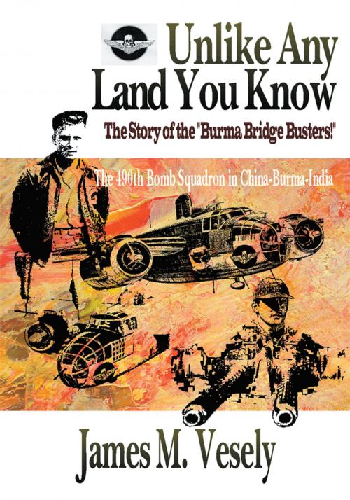 Cover of the book Unlike Any Land You Know by James M. Vesely, iUniverse