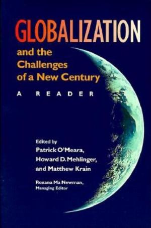 Cover of the book Globalization and the Challenges of a New Century by Julie Hemment