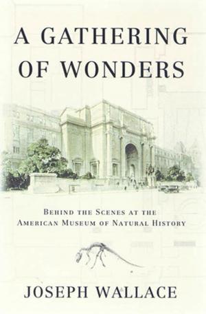 Cover of the book A Gathering of Wonders by Jocelyn Zichterman