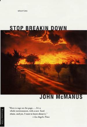 Cover of the book Stop Breakin Down by Colin Harrison