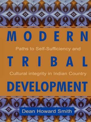 Book cover of Modern Tribal Development