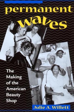 Cover of the book Permanent Waves by Sunaina Marr Maira