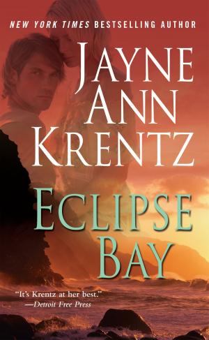 Cover of the book Eclipse Bay by Meljean Brook