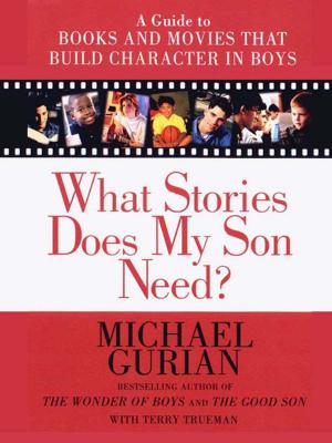 Cover of the book What Stories Does My Son Need? by John A B Lansdown