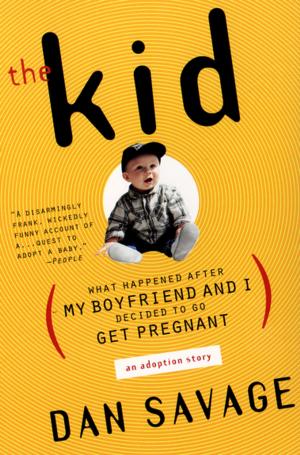 Cover of the book The Kid by Matt Weinstein, Luke Barber