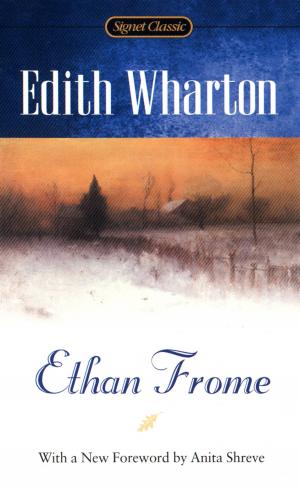 Cover of the book Ethan Frome by Trevor Paglen