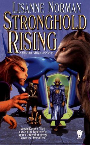 Cover of the book Stronghold Rising by E.C. Ambrose