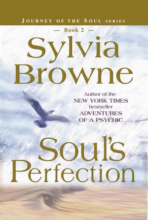 Book cover of Soul's Perfection