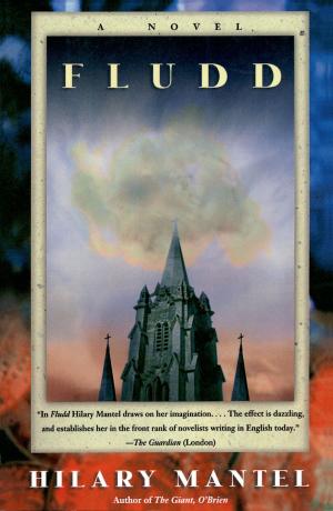 Cover of the book Fludd by Howard Zinn, Mike Konopacki, Paul Buhle