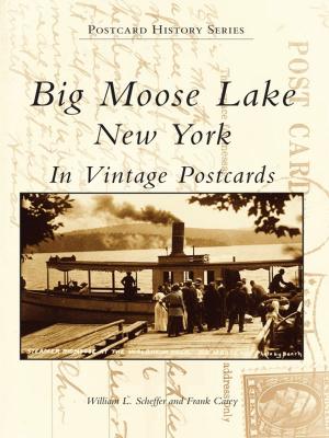 Book cover of Big Moose Lake, New York in Vintage Postcards