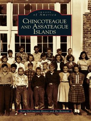 Cover of the book Chincoteague and Assateague Islands by John T. Hastings, Warrensburgh Historical Society