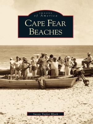 Book cover of Cape Fear Beaches