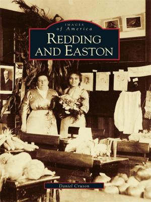 Cover of the book Redding and Easton by Casey Ireland
