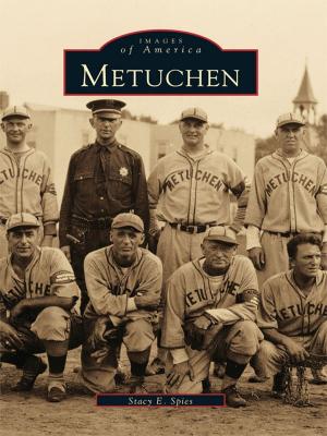 Cover of the book Metuchen by Mary Cummings