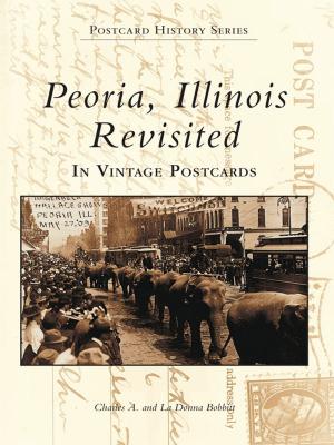 Book cover of Peoria, Illinois Revisited in Vintage Postcards