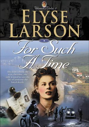 Cover of the book For Such a Time (Women of Valor Book #1) by David L. Mathewson, Elodie Ballantine Emig