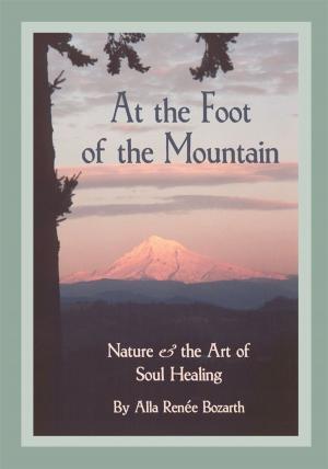 Cover of the book At the Foot of the Mountain by Amber Ferraez Kuntz