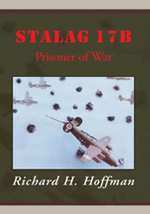 Cover of the book Stalag 17B by Gene Lefebvre