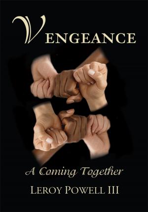 Cover of the book Vengeance by Paul W. Silver