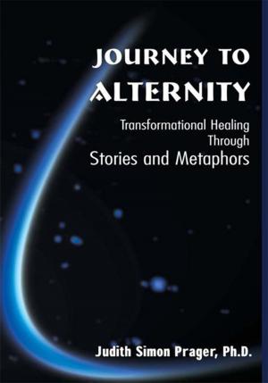 Cover of the book Journey to Alternity by Margaret Paul, Ph.D.