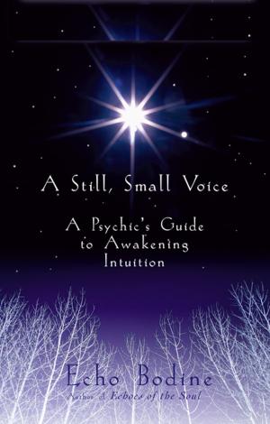 bigCover of the book A Still Small Voice by 