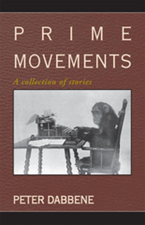 Cover of the book Prime Movements by Peter Dabbene, Xlibris US