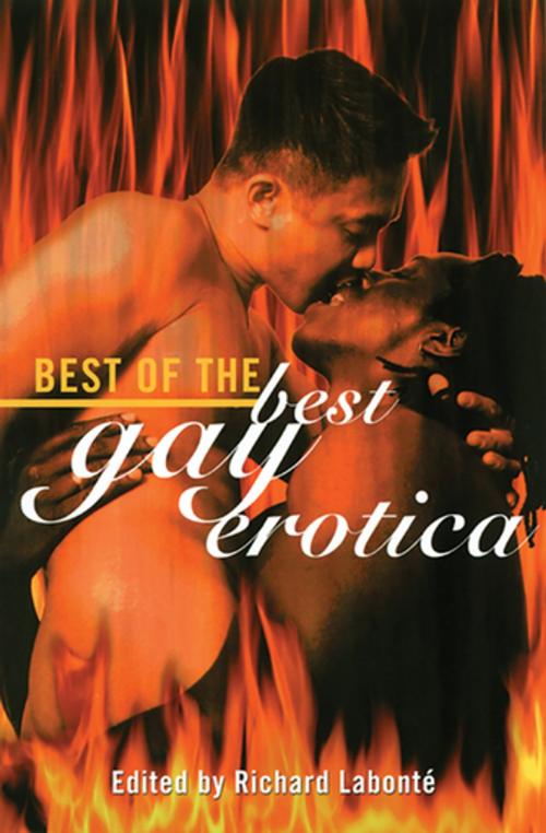 Cover of the book Best of the Best Gay Erotica by , Cleis Press