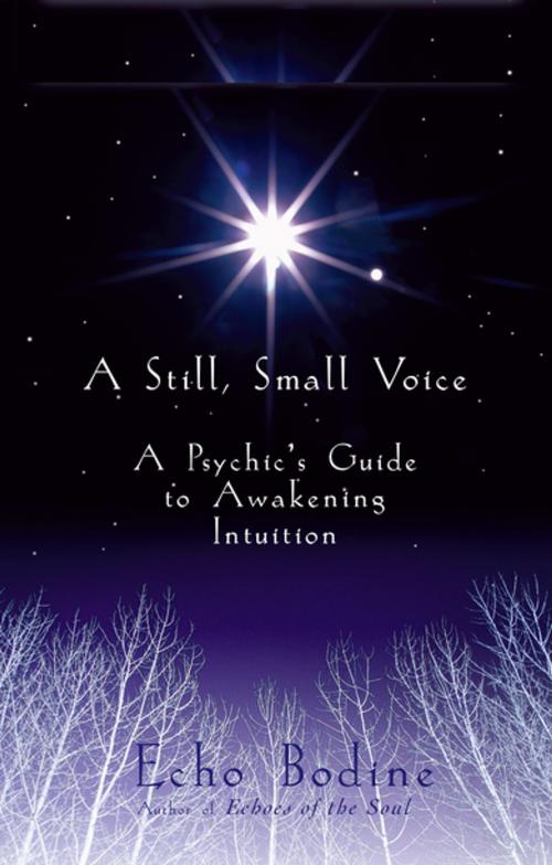 Cover of the book A Still Small Voice by Echo Bodine, New World Library
