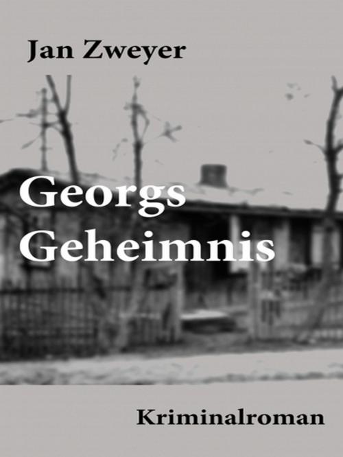 Cover of the book Georgs Geheimnis by Jan Zweyer, XinXii-GD Publishing
