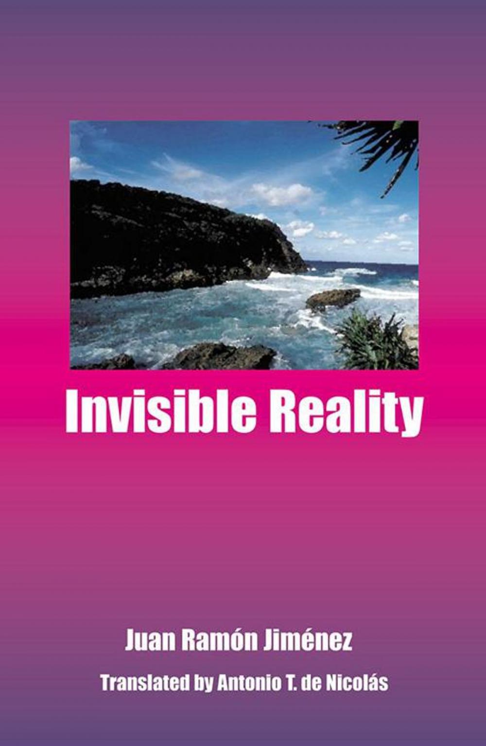 Big bigCover of Invisible Reality