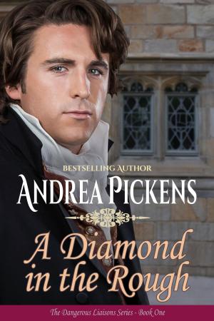 Cover of the book A Diamond In The Rough by Veronika Lackerbauer