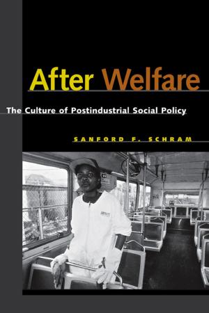 Cover of the book After Welfare by David Freeland