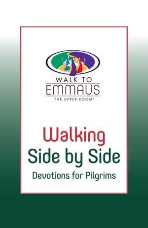 Book cover of Walking Side by Side