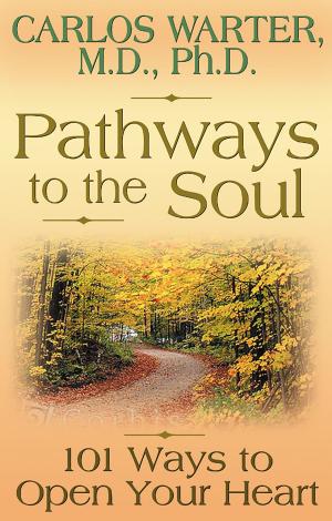 Cover of the book Pathways to the Soul by Sonia Choquette, Ph.D.