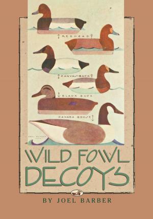 Cover of the book Wild Fowl Decoys by Timothy O'Keefe