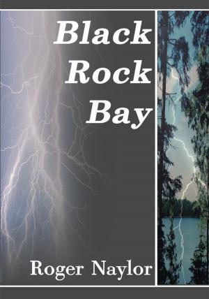 Cover of the book Black Rock Bay by Barbara Paul