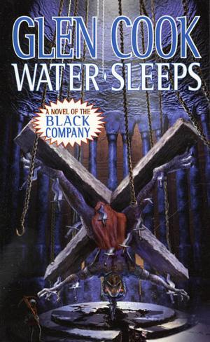 Cover of the book Water Sleeps by Randy Lee Eickhoff