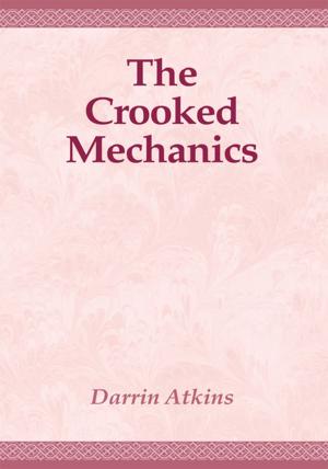 Book cover of The Crooked Mechanics