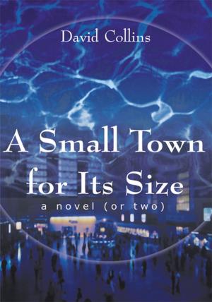 Cover of the book A Small Town for Its Size by Lisa Dewar