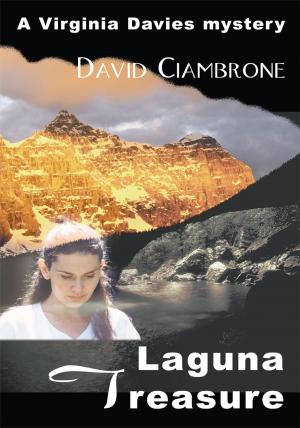 Cover of the book Laguna Treasure by Jeff Pinney