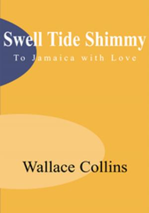 Cover of the book Swell Tide Shimmy by Rabbi Shmuel Jablon