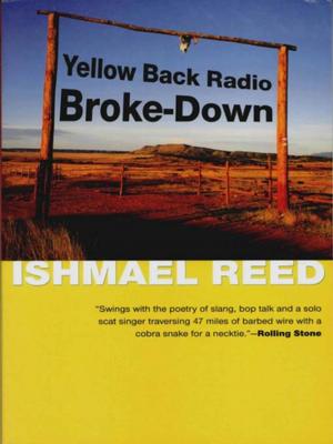 Book cover of Yellow Back Radio Broke-Down