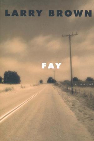 Cover of the book Fay by Barry Silesky