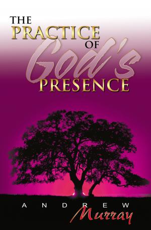 Cover of the book The Practice of God's Presence by Doug Stringer