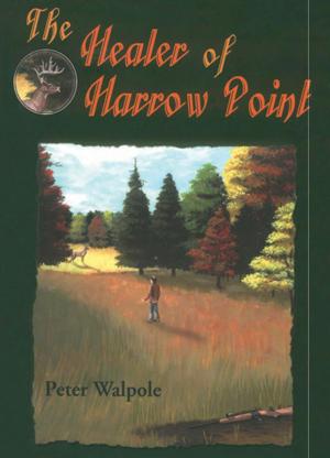 Book cover of The Healer of Harrow Point