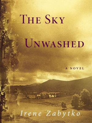 Cover of the book The Sky Unwashed by Kristina Circelli