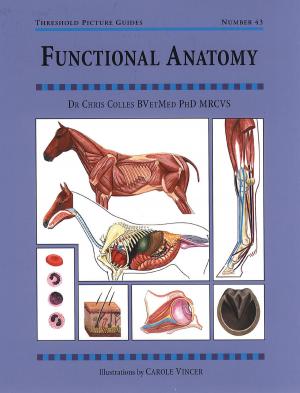 Cover of the book FUNCTIONAL ANATOMY by JANE HOLDERNESS-RODDAM