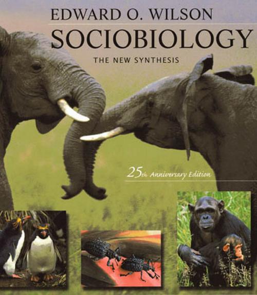 Cover of the book Sociobiology by Edward O. Wilson, Harvard University Press