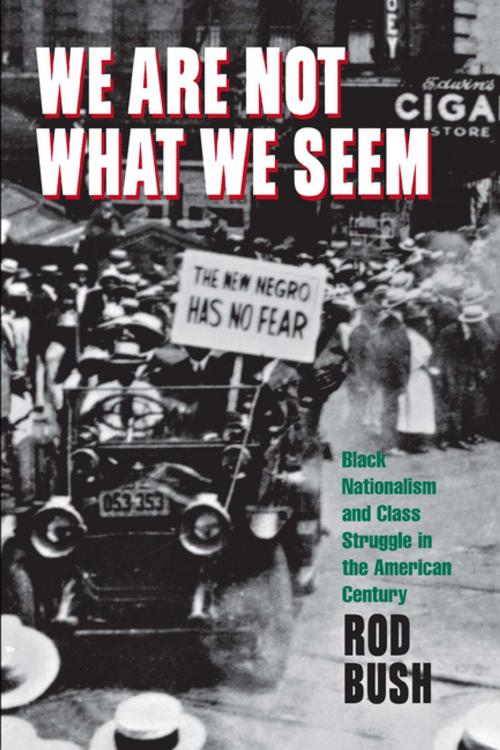 Cover of the book We Are Not What We Seem by Roderick D. Bush, NYU Press