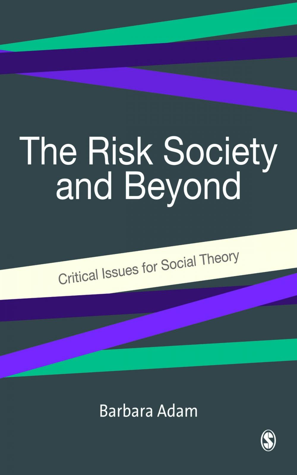 Big bigCover of The Risk Society and Beyond